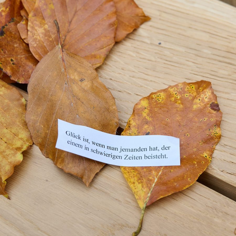 Herbstblätter liegen auf Holz. Darauf ein Zettel: "Glück ist, wenn man jemanden hat, der einem in schwierigen Zeiten beisteht."